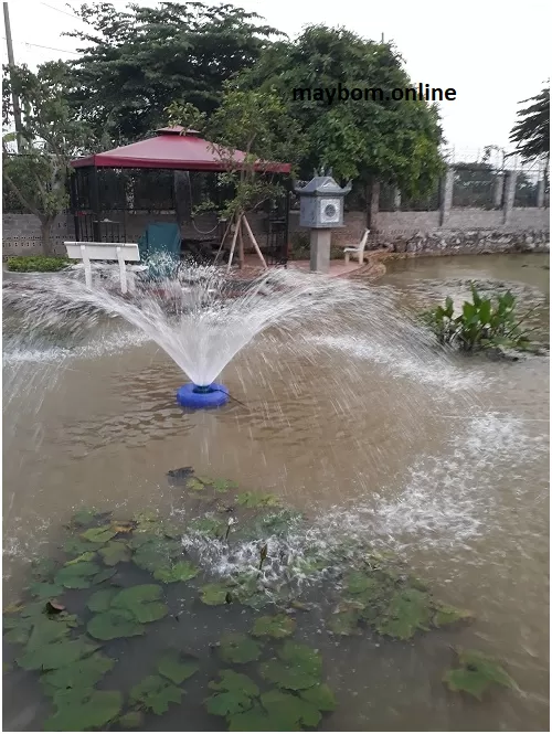 may bom tao oxy ao ca